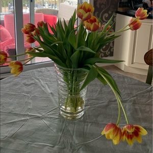 Meet your Posher, Mary ann